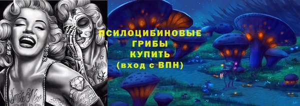 спиды Аркадак